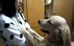 新不夜城综合首页